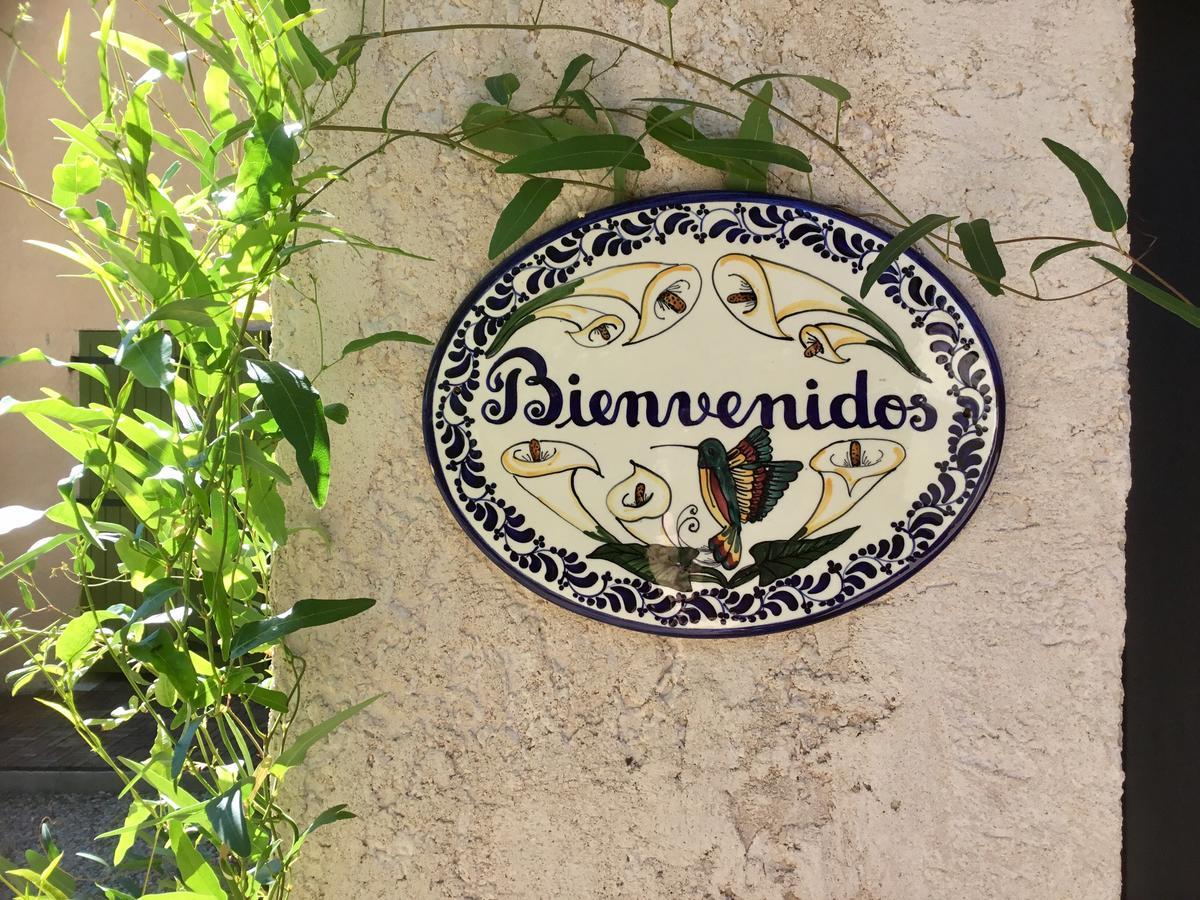 Longo Mai Bed & Breakfast Sillans la Cascade Bagian luar foto