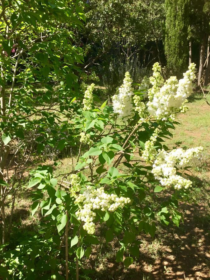 Longo Mai Bed & Breakfast Sillans la Cascade Bagian luar foto